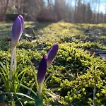 Nyaraló Beim Alten Forsthaus *