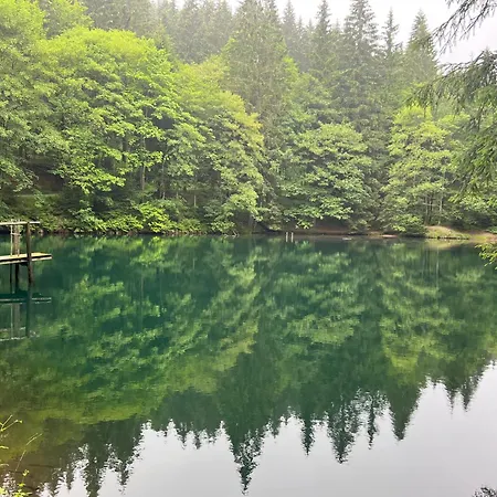 Beim Alten Forsthaus * Zella-Mehlis