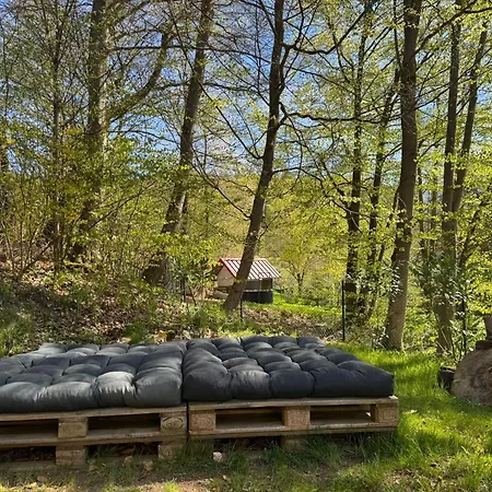 Holiday home Beim Alten Forsthaus Zella-Mehlis