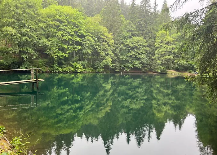 Beim Alten Forsthaus * Zella-Mehlis